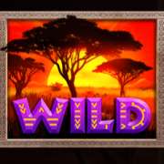Символ Wild в Majestic Safari