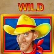 Символ Wild в Wild Bounty