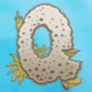 Символ Q в Wild Ocean