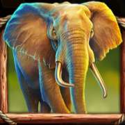 Символ Слон в Majestic Safari