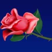 Символ Scarlet Rose в New York