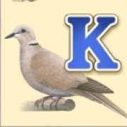 Символ K в Nest Egg