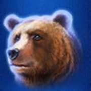 Символ Медведь в Buffalo Blitz
