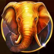 Символ Слон в African Fortune