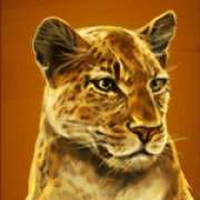 Символ Леопард в Wild Cats Multiline
