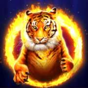 Символ Тигр в Vegas Magic