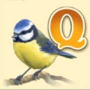 Символ Q в Nest Egg