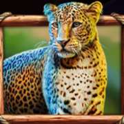 Символ Леопард в Majestic Safari
