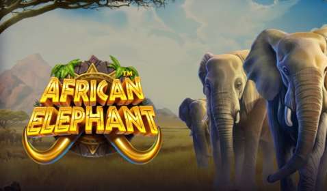 African Elephant (Pragmatic Play) обзор