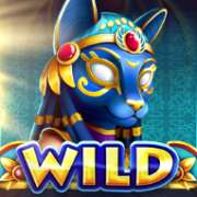 Символ Wild в Ages of Fortune