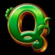 Символ Q в Leprechaun's Coins