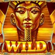 Символ Wild в Age of Egypt