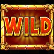 Символ Wild в Drago: Jewels of Fortune
