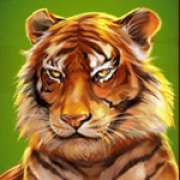 Символ Тигр в Wild Cats Multiline