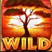 Символ Wild в The Ultimate 5