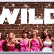 Символ Wild в Bridesmaids