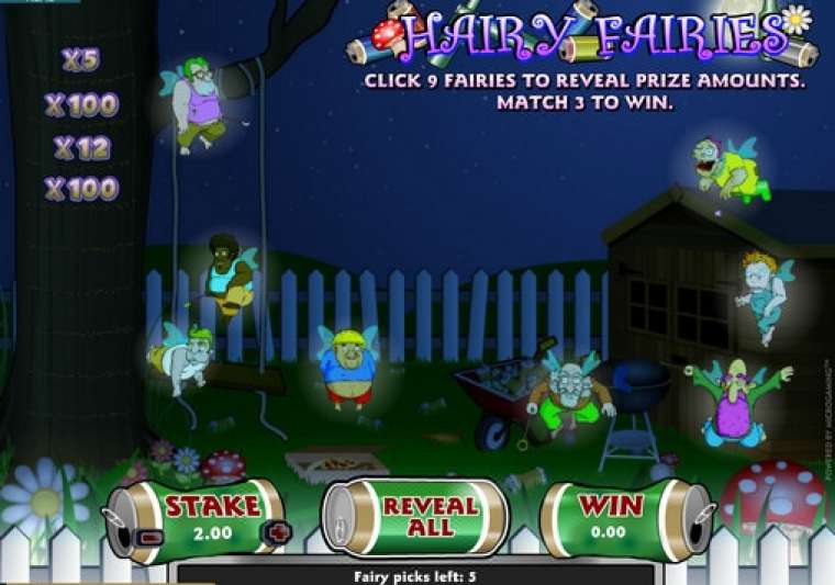 Видео покер Hairy Fairies демо-игра