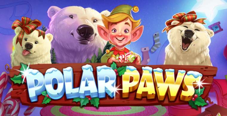 Видео покер Polar Paws демо-игра