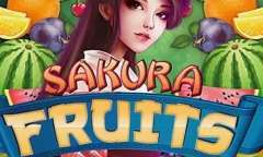 Плоды сакуры